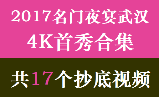 2017名门夜宴武汉4K首秀合集