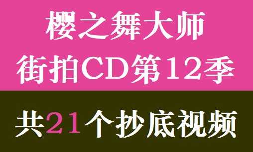 樱之舞大师街拍CD第12季