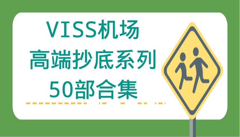 VISS机场高端抄底系列50部合集